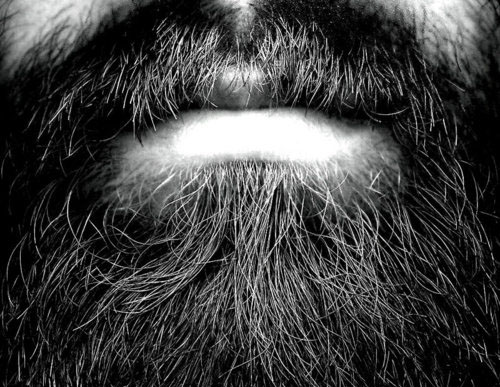 Manifeste pour la pilosité faciale: Aime ta barbe [Hipster Riche 008]