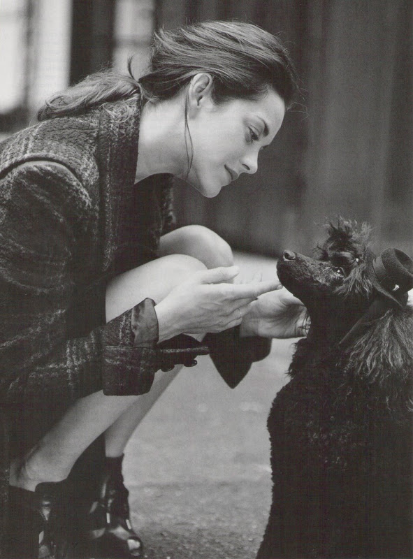 Marion Cotillard [Girl Crush 051]