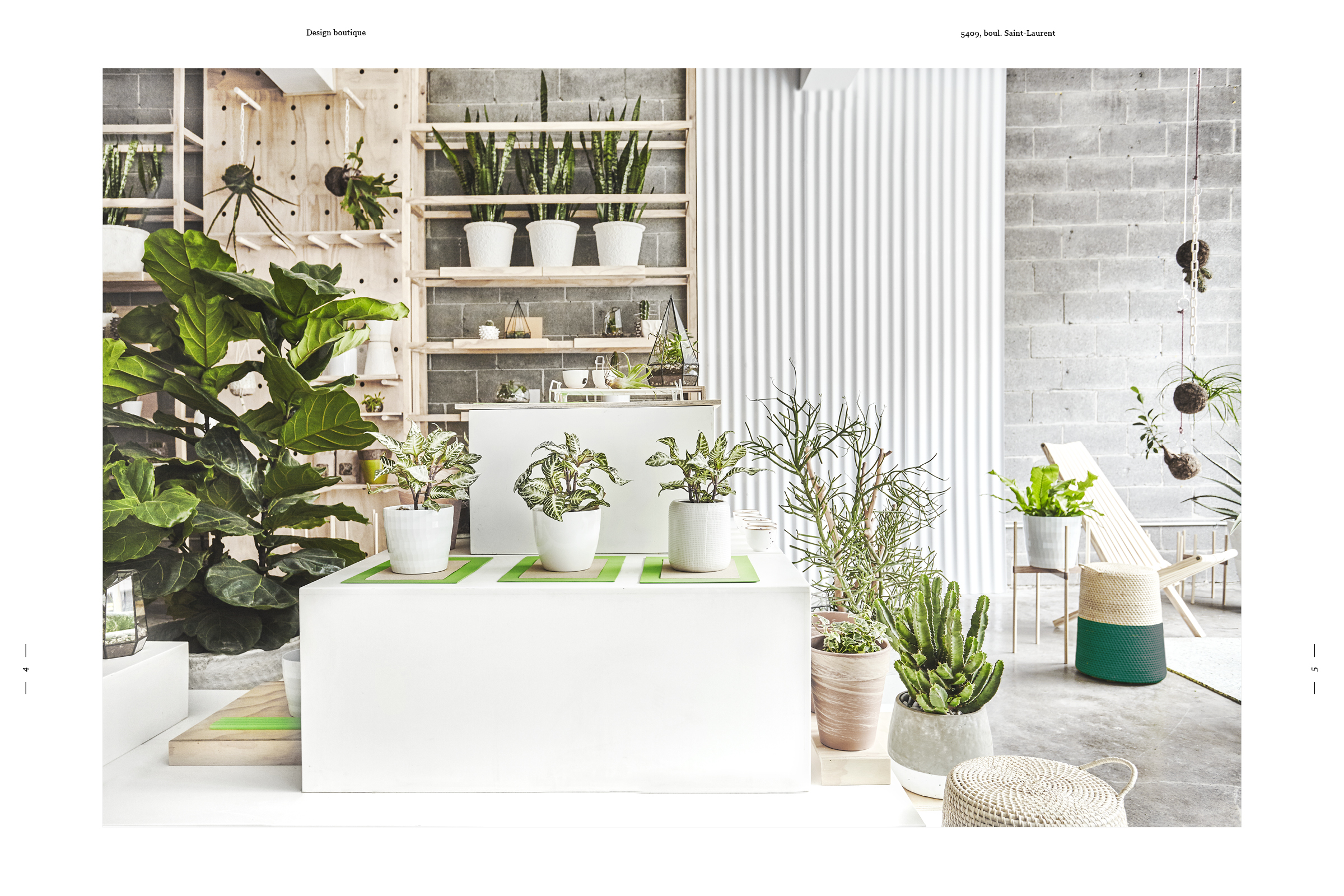 VERTUOSE : Une nouvelle adresse à saveur de jungle urbaine