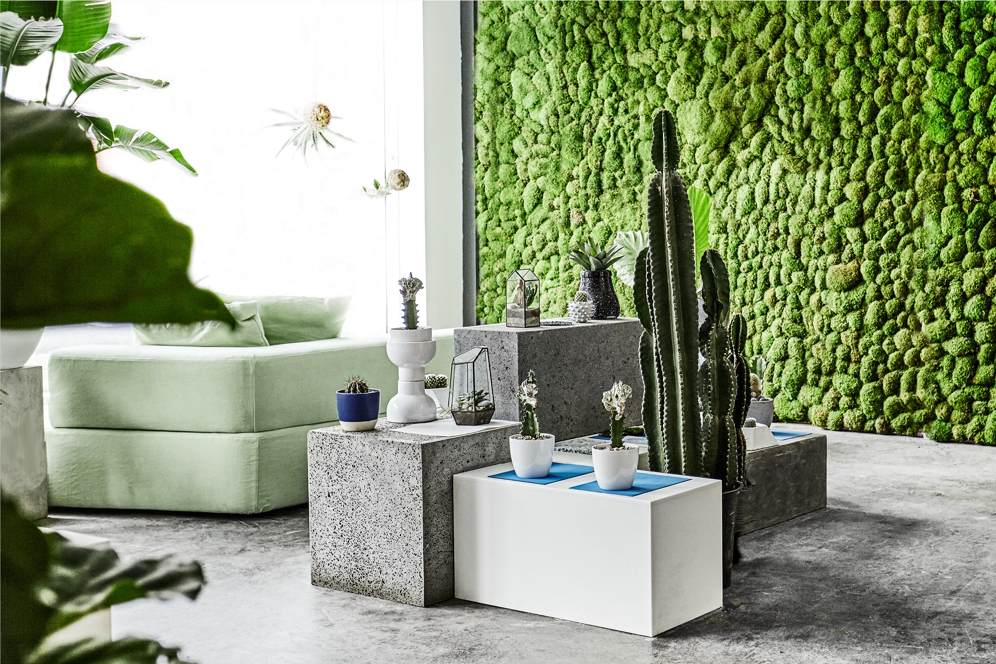 VERTUOSE : Une nouvelle adresse à saveur de jungle urbaine