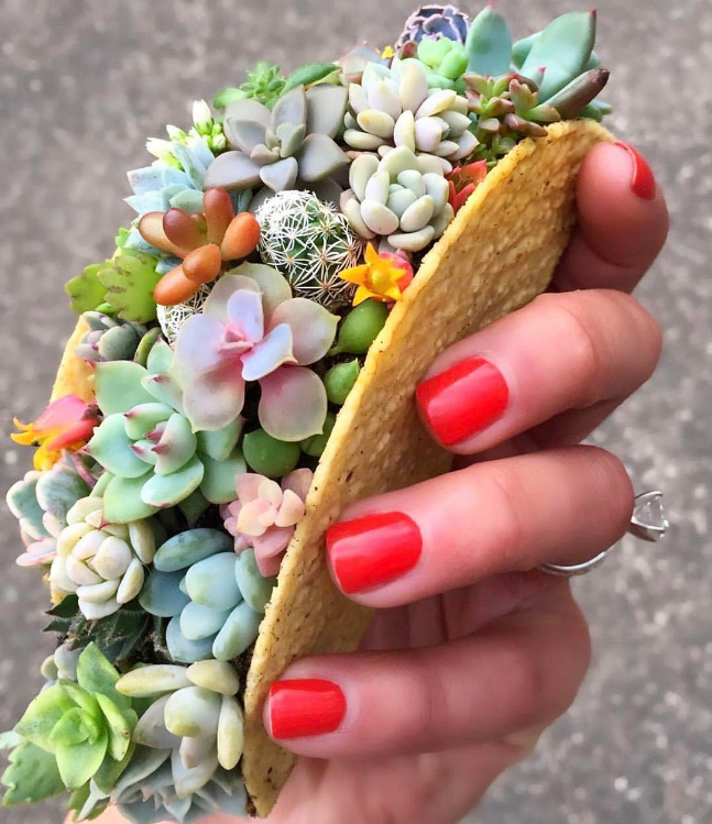 Des comptes Instagram pour les amoureux du bizarre