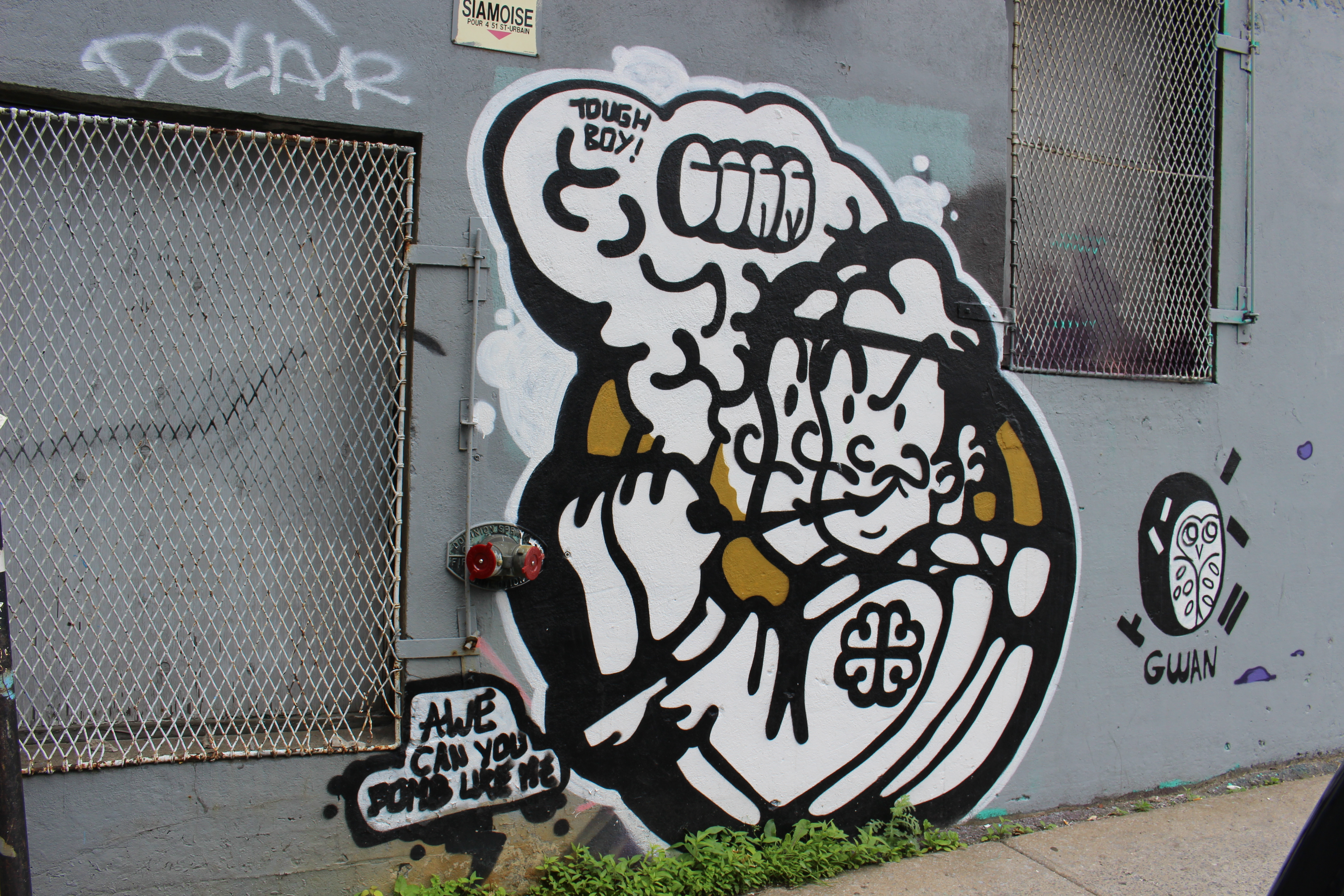MURAL nous laisse des œuvres d'art partout sur Saint-Laurent! [35 photos]
