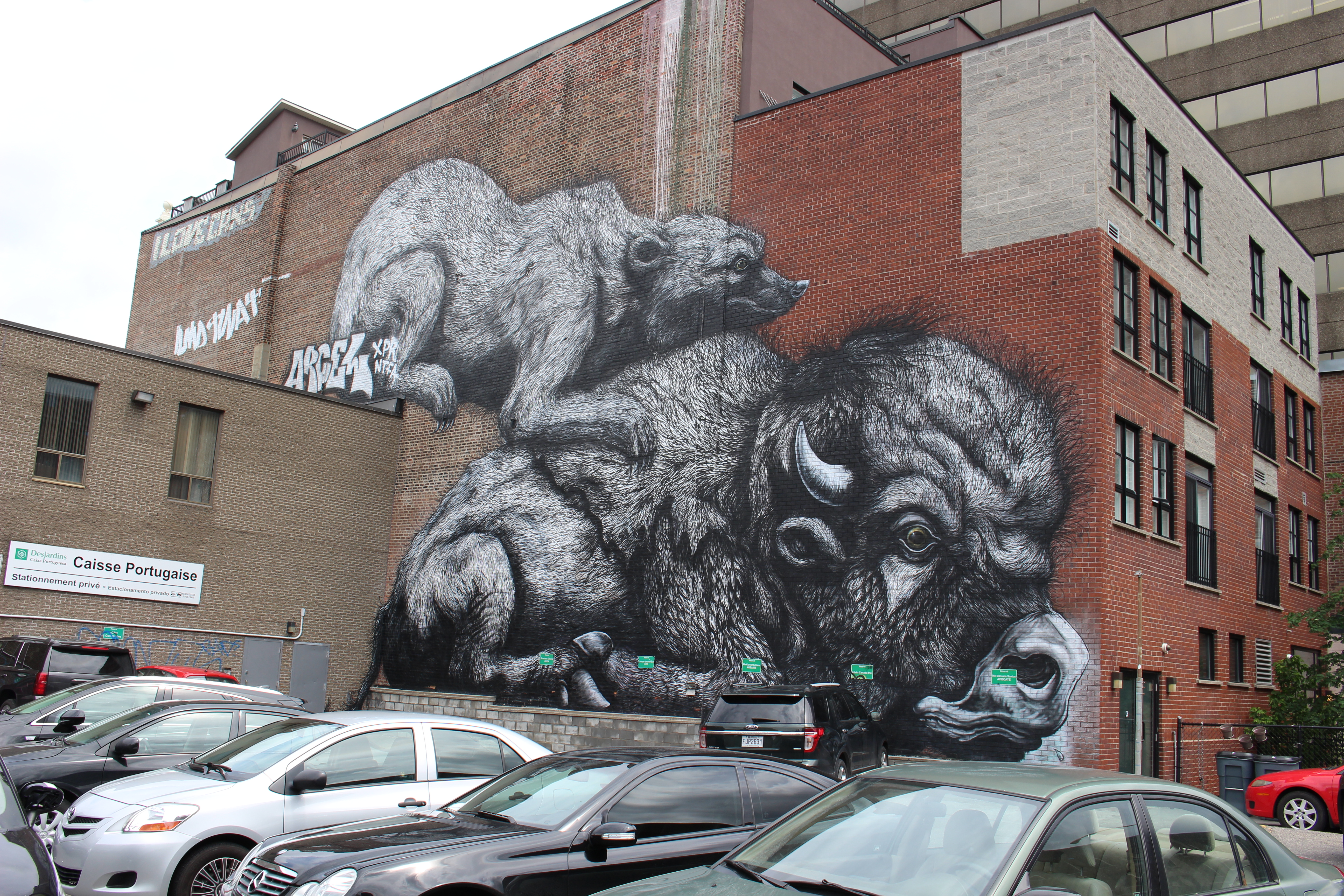 MURAL nous laisse des œuvres d'art partout sur Saint-Laurent! [35 photos]