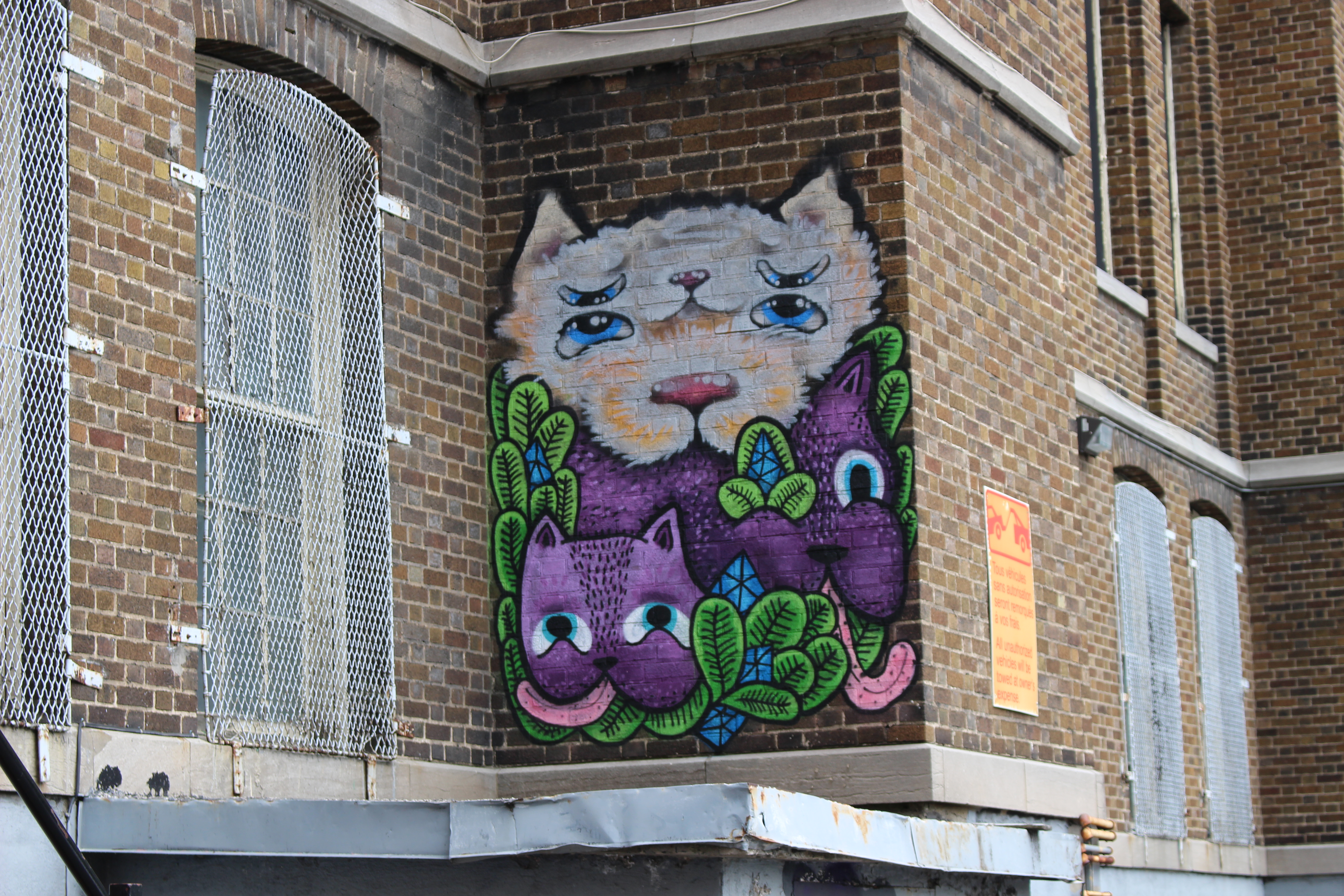 MURAL nous laisse des œuvres d'art partout sur Saint-Laurent! [35 photos]