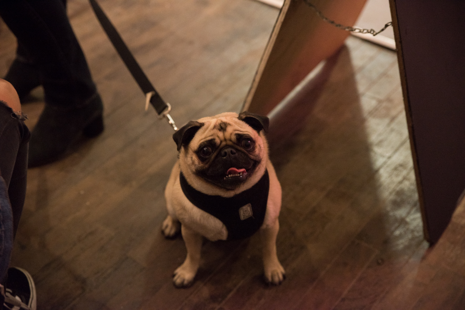 Boulevard et MTXLA ont fait leur premier Pop-Up Shop streetwear sur la Main [Photos]
