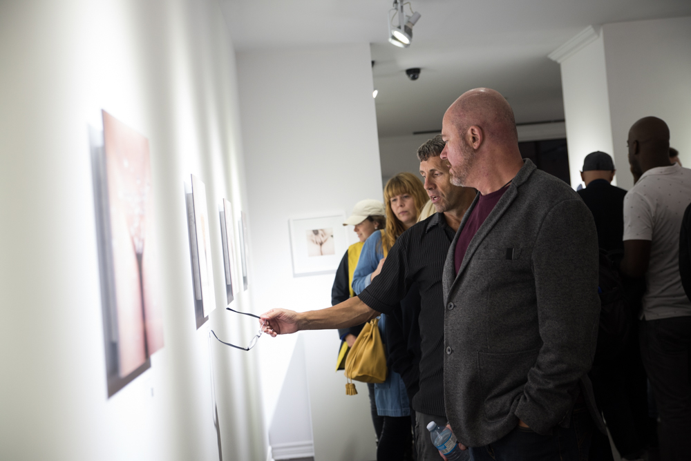 Pussylluminati: une expo procovante et géniale par MissMe x Nastia Cloutier-Ignatiev [NSFW]