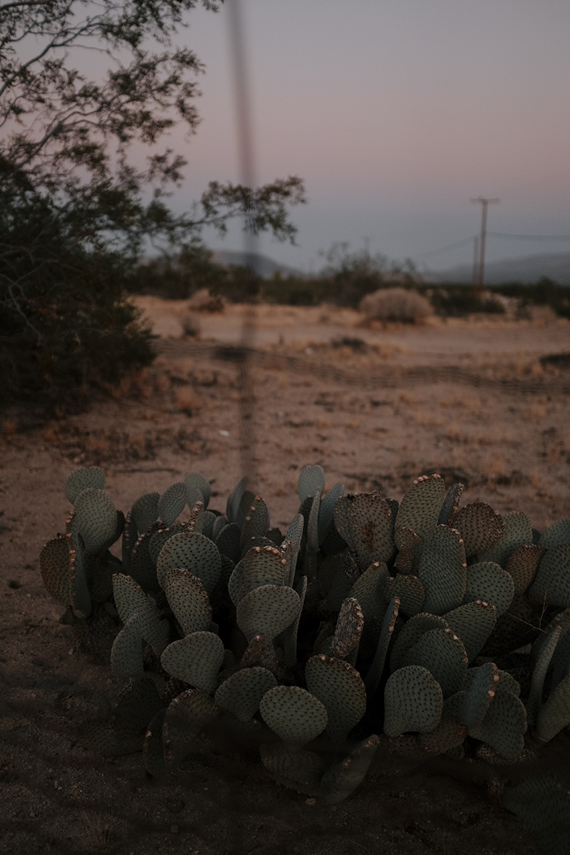 Le roadtrip américain de Bianca Des Jardins, de Los Angeles à Pheonix [Photos]