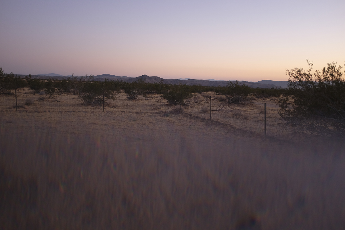 Le roadtrip américain de Bianca Des Jardins, de Los Angeles à Pheonix [Photos]