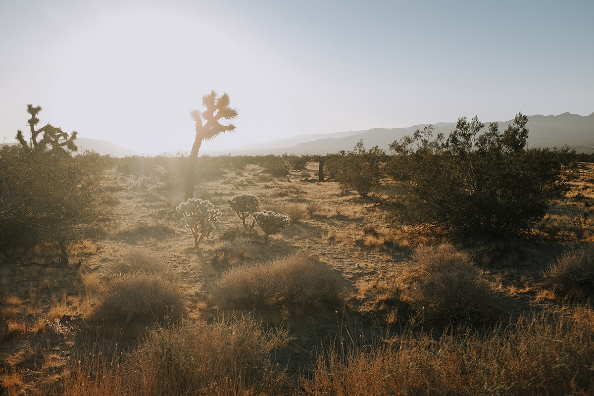 Le roadtrip américain de Bianca Des Jardins, de Los Angeles à Pheonix [Photos]