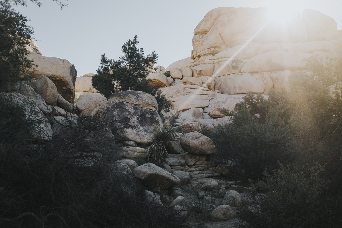 Le roadtrip américain de Bianca Des Jardins, de Los Angeles à Pheonix [Photos]
