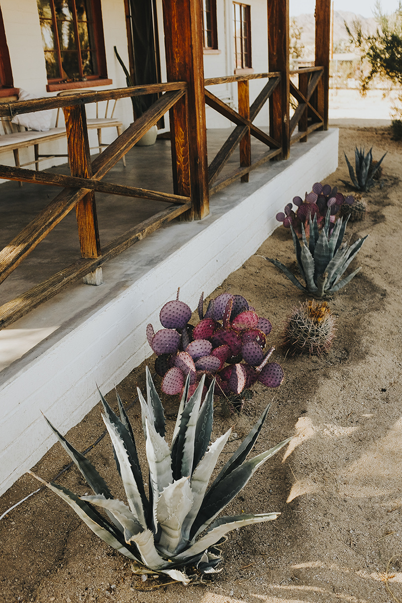 Le roadtrip américain de Bianca Des Jardins, de Los Angeles à Pheonix [Photos]