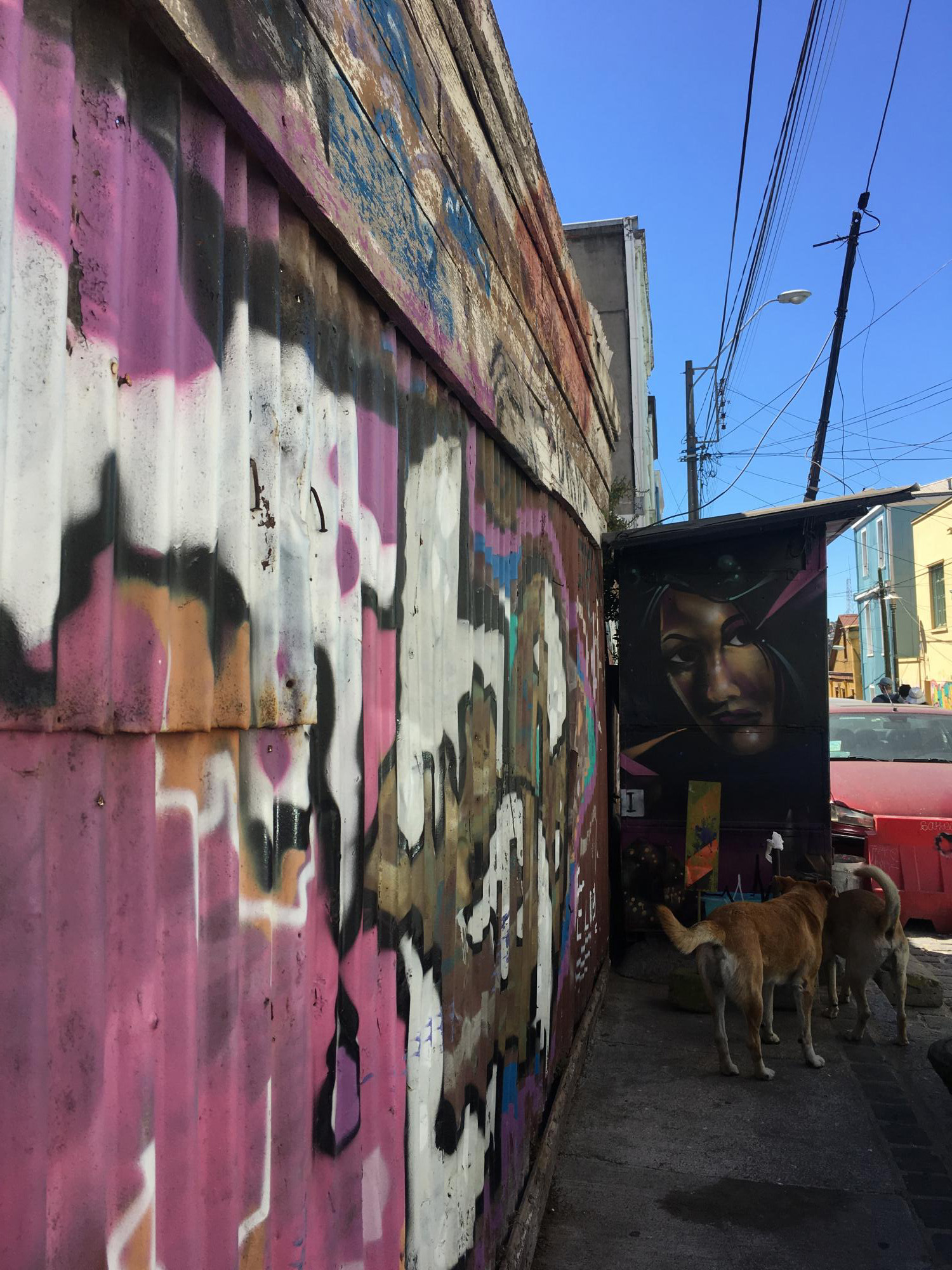 ​Valparaiso est la ville du street art chilien [Photos]
