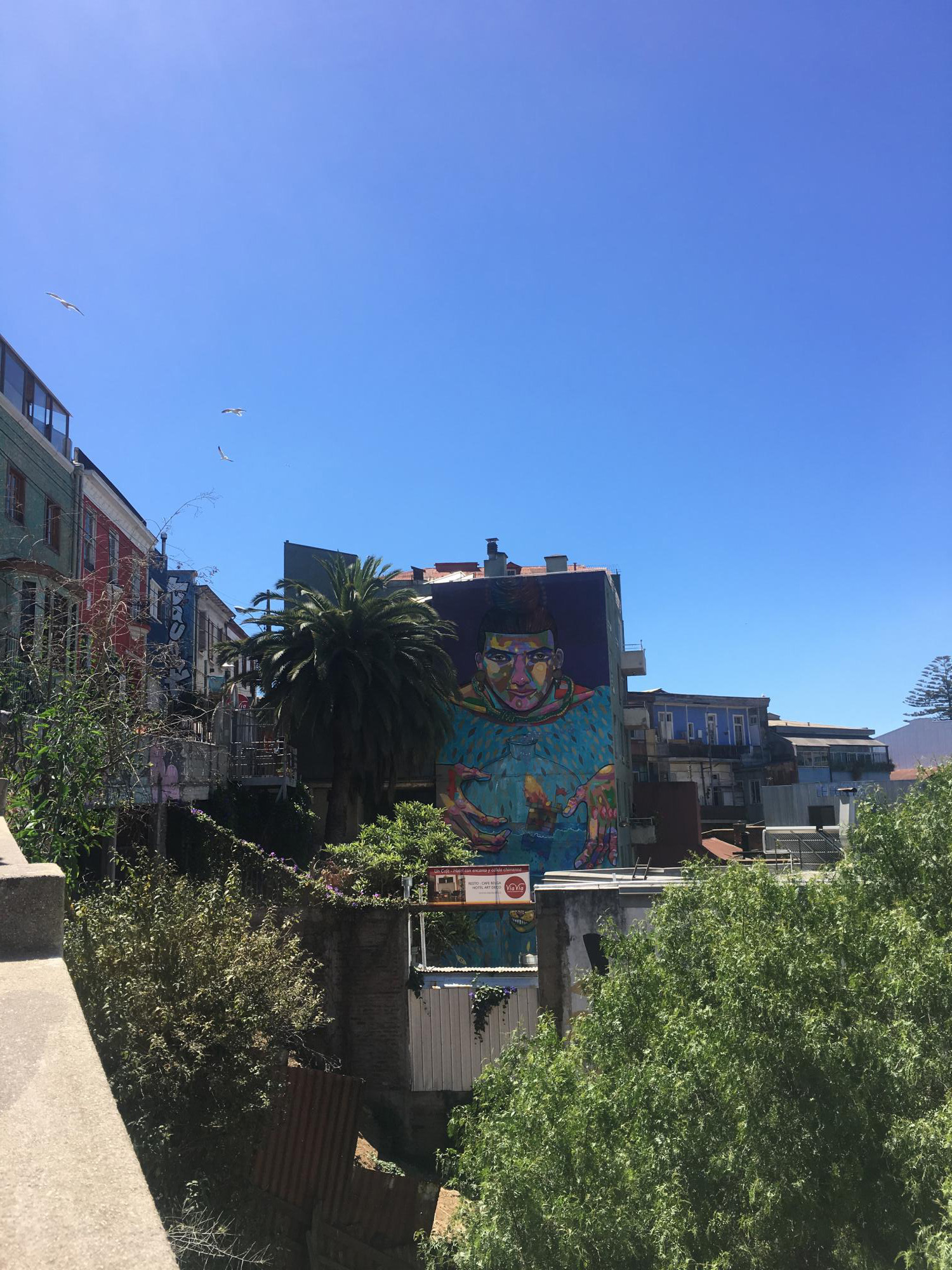 ​Valparaiso est la ville du street art chilien [Photos]
