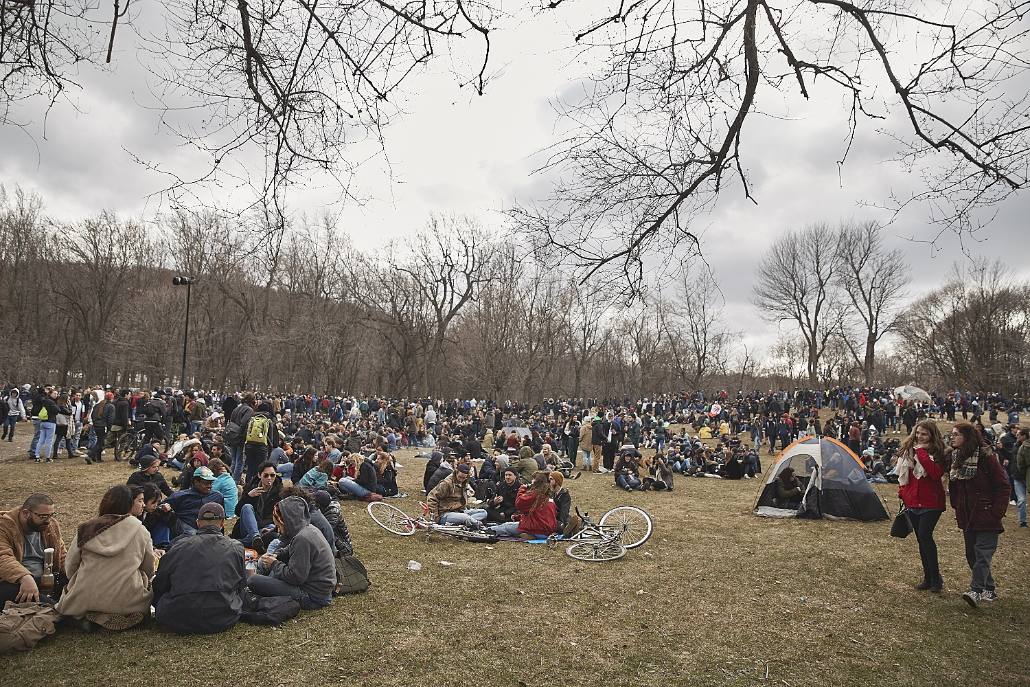 Des milliers de Montréalais célèbrent le 420 au Mont-Royal [Photos]