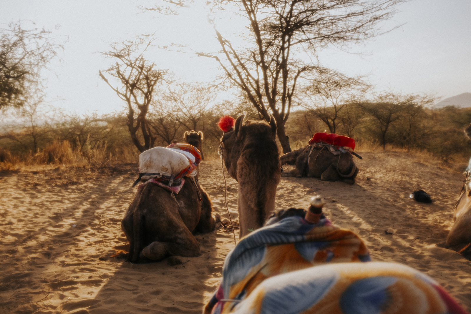 Voyage avec Bianca Des Jardins: découvrir l'Inde et le Népal [Photos]