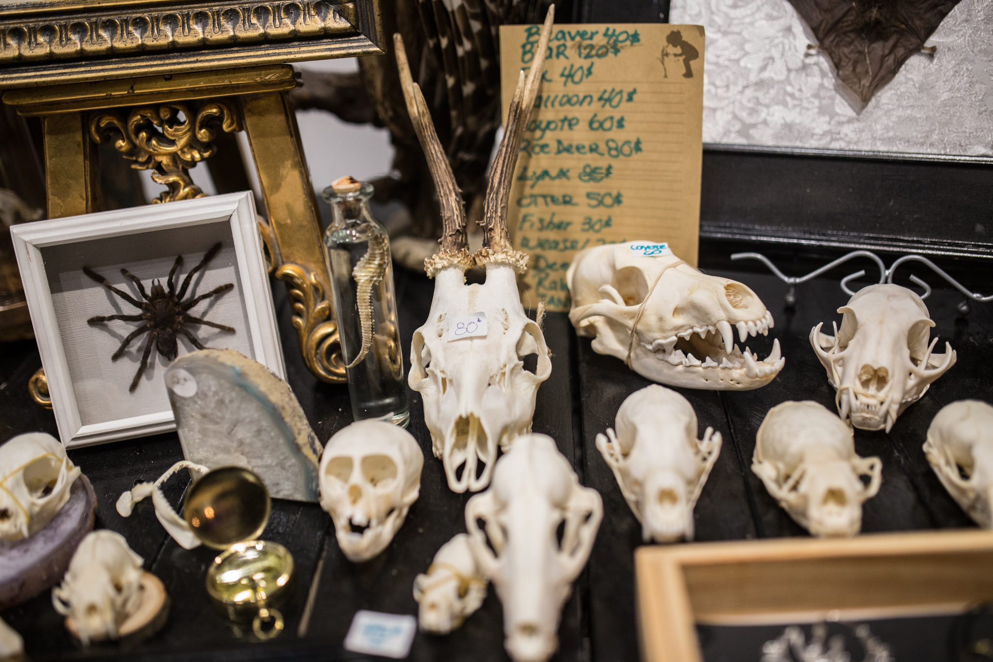 Le Cuts and Talk rassemble barbiers, tatoueurs, artistes et artisans [photos]