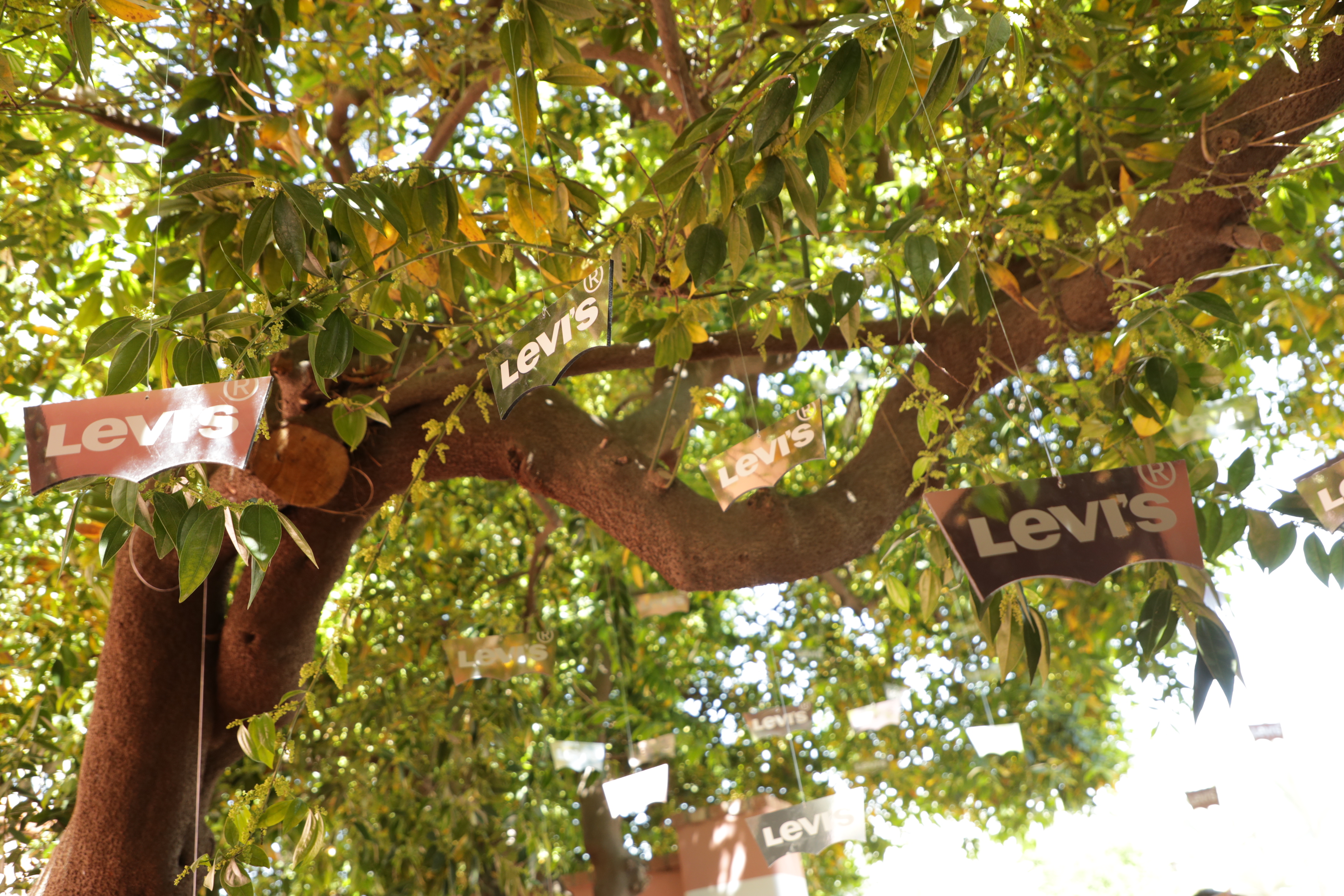 Plein de vedettes au fou party Levi's à Coachella [PHOTOS]