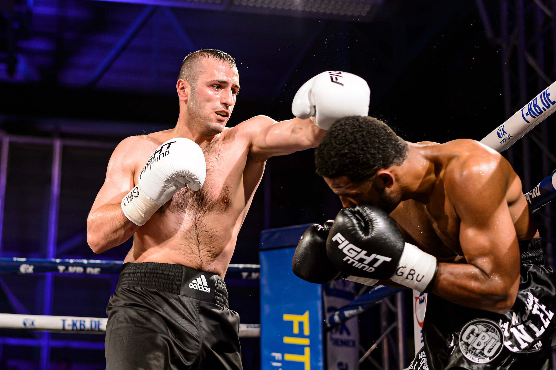 1. Boxe