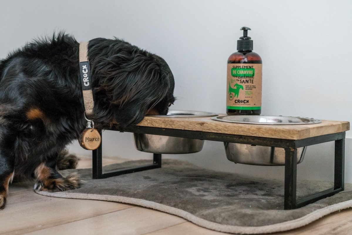 Supplément nutritif pour animal CROCX