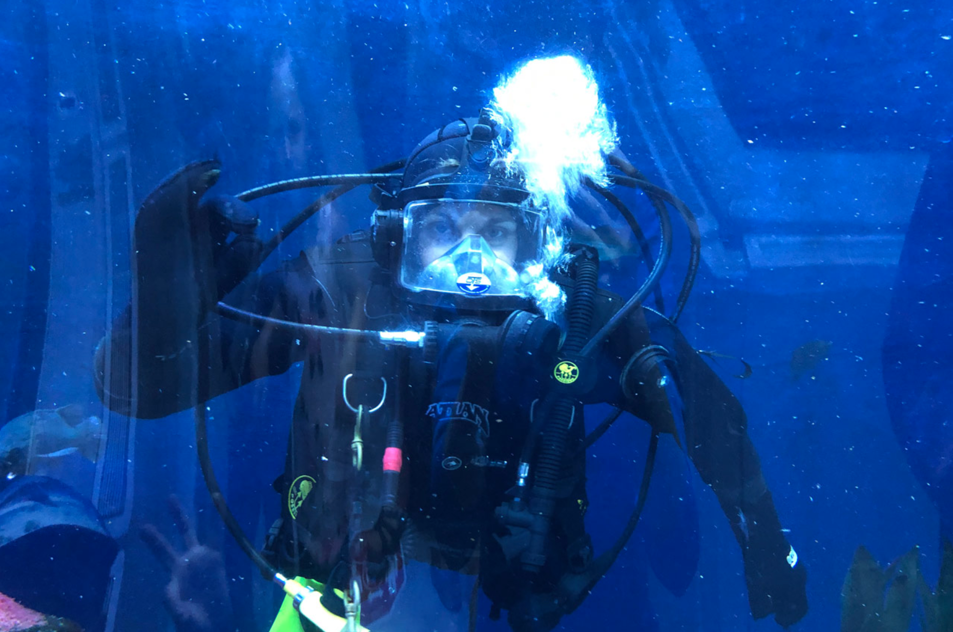 Le forfait Plongez l'Aquarium de l'Aquarium du Québec