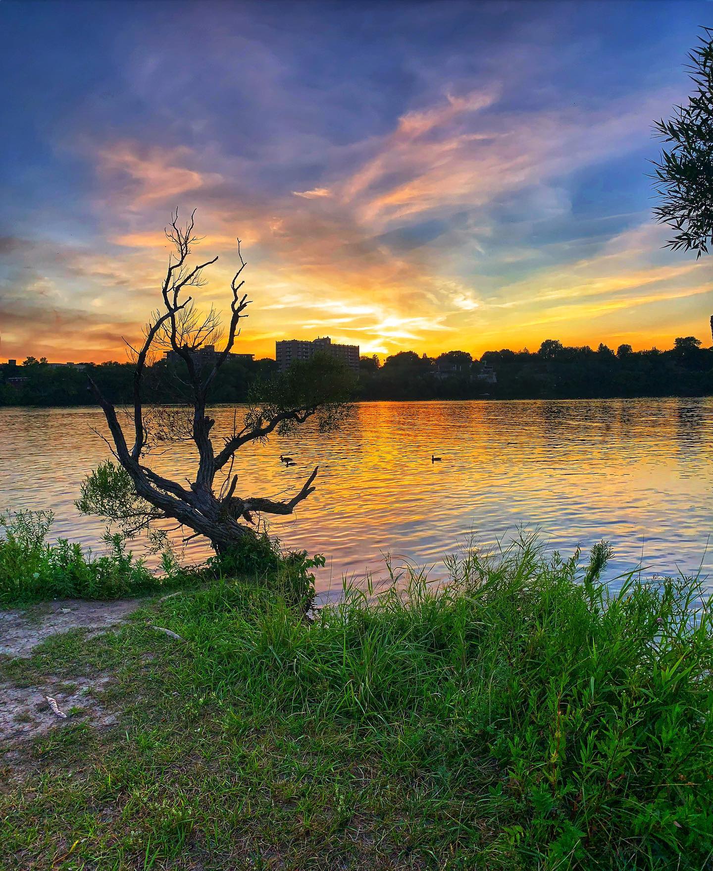 Parc de l'Île-de-la-Visitation