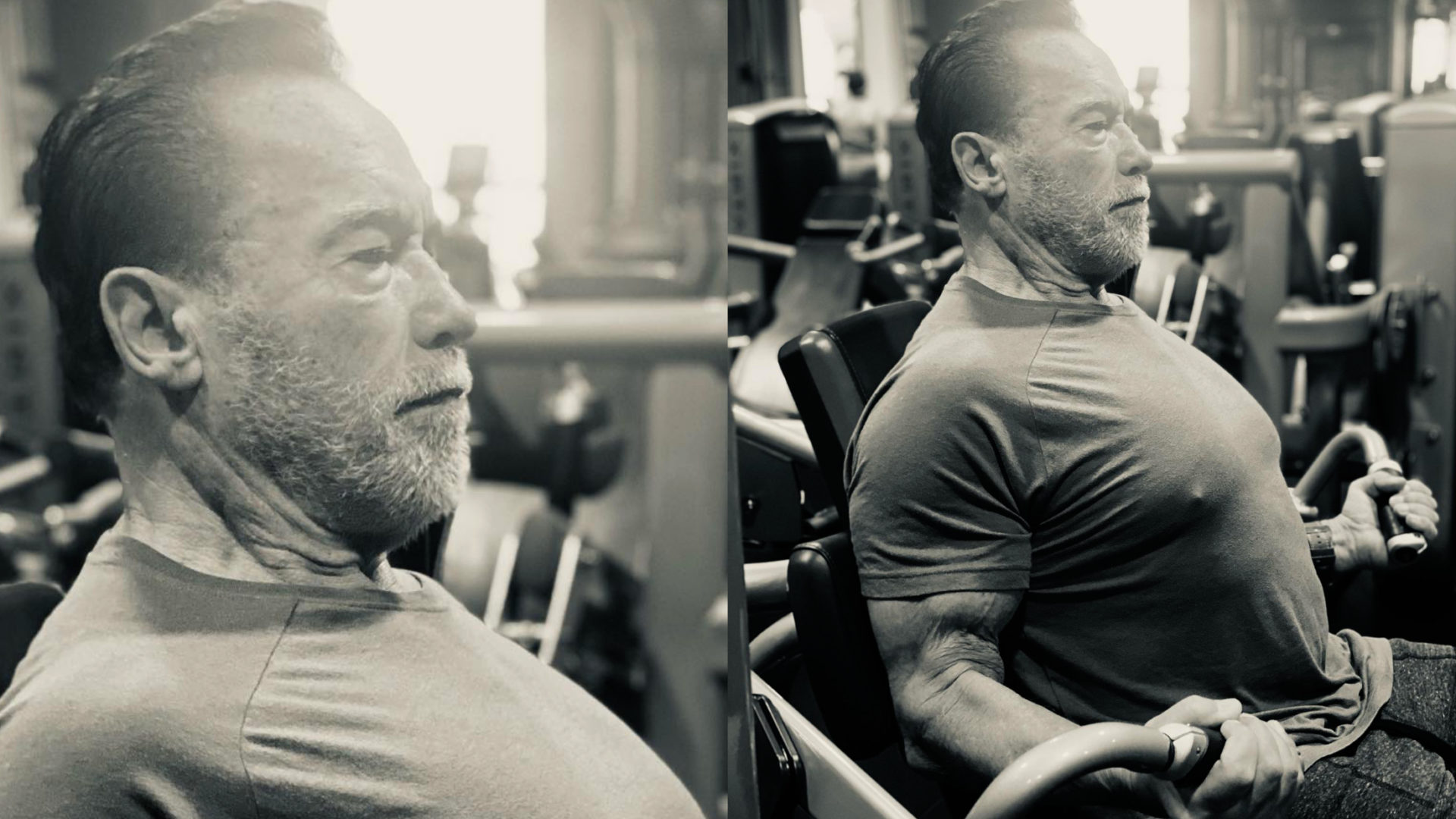 Arnold Schwarzenegger corps maintenant 2023