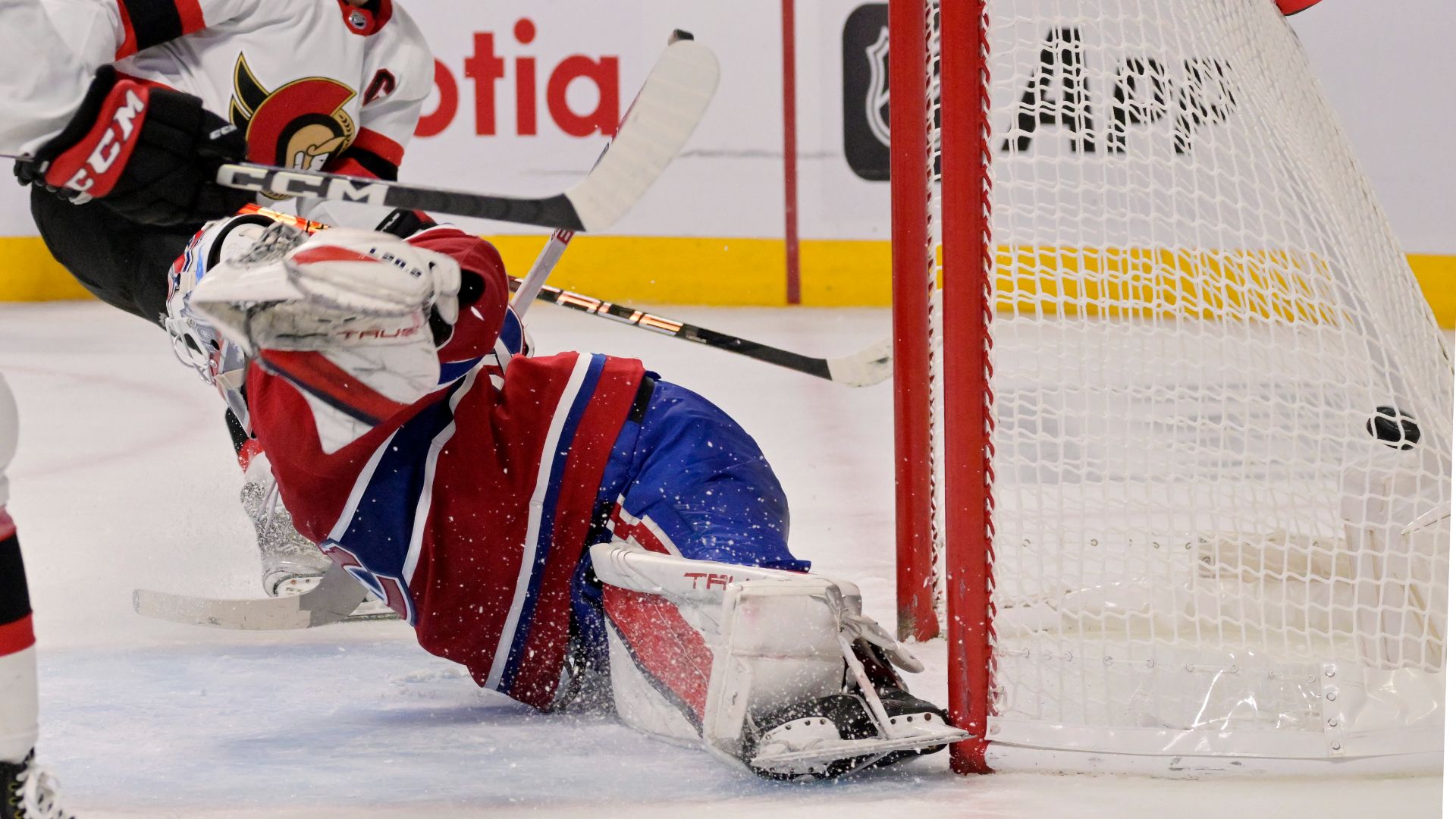 Brady Tkachuk marque un but contre Sam Montembeault