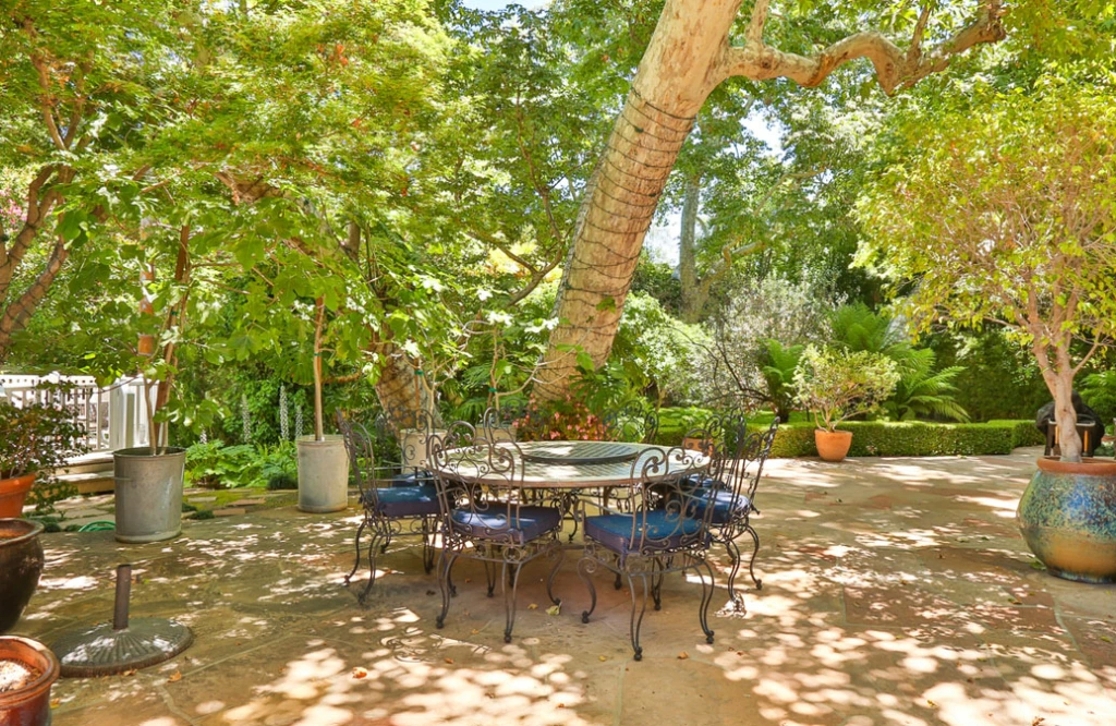La terrasse
