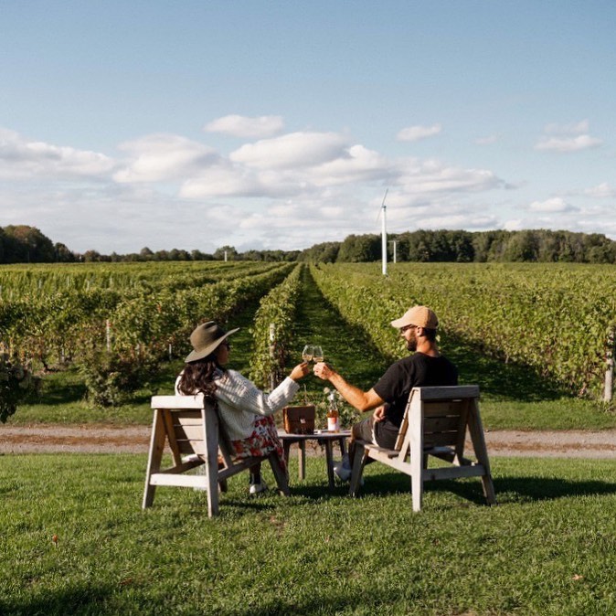 Vignoble