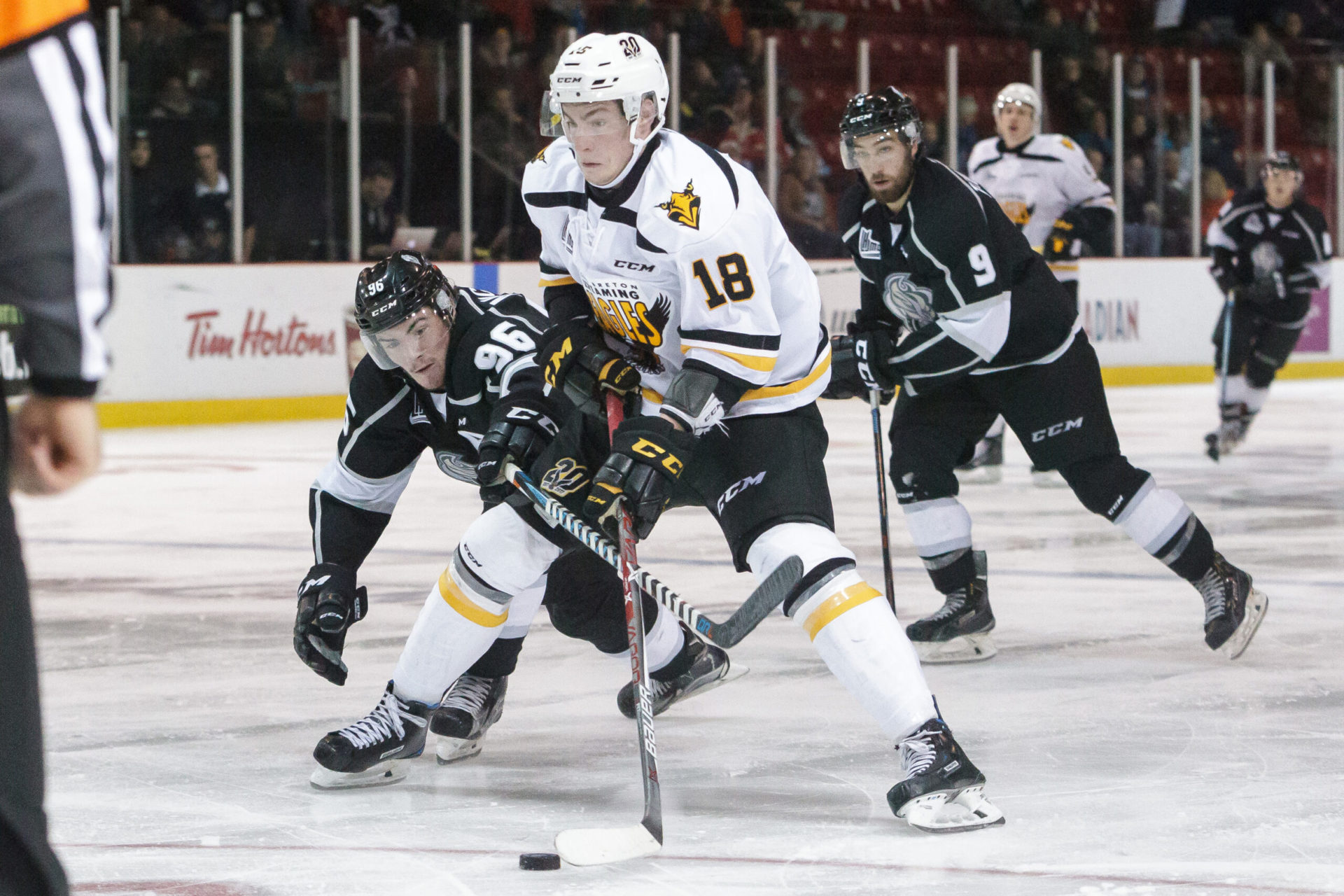 Screaming Eagles du Cap-Breton