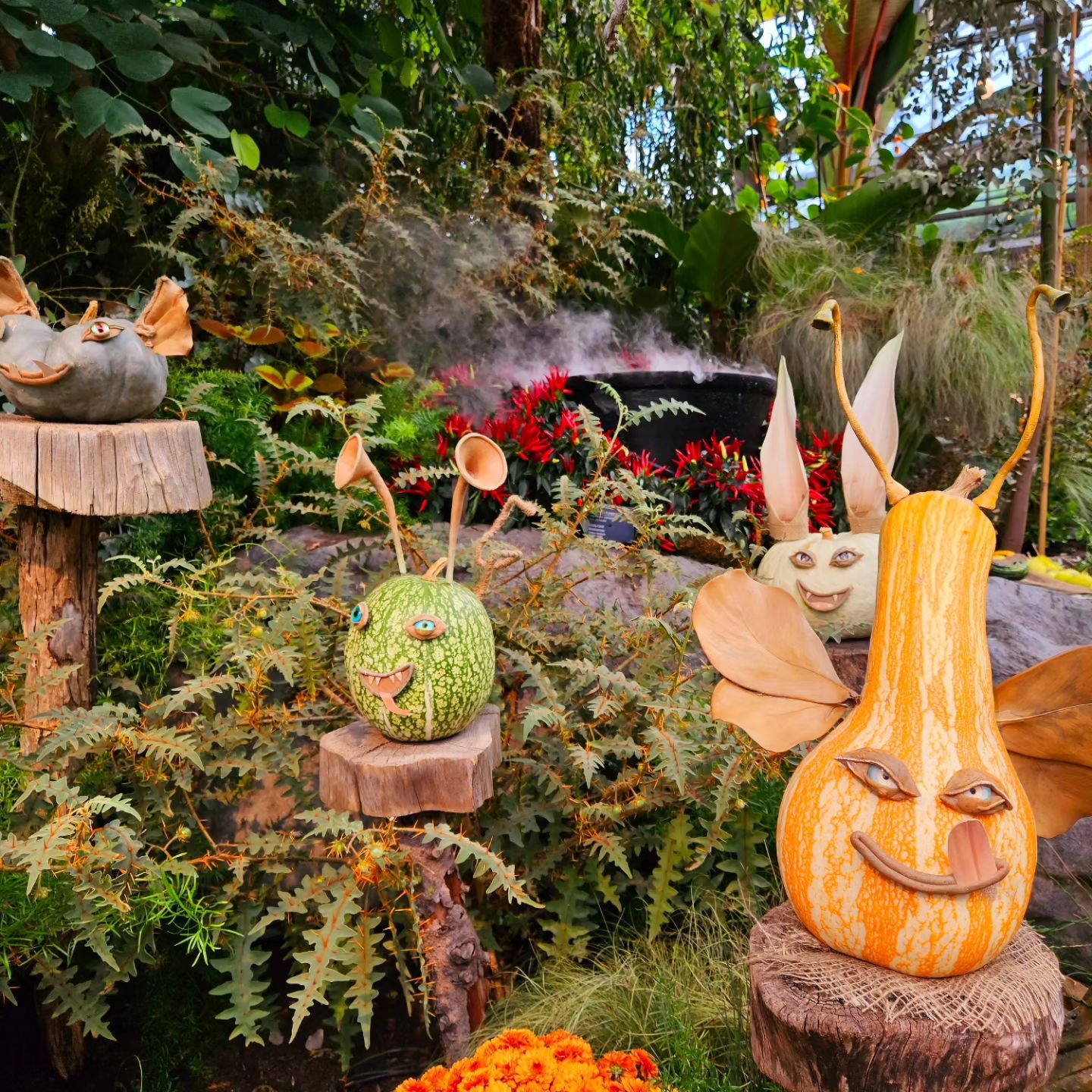 Frissons d’Halloween au Jardin botanique