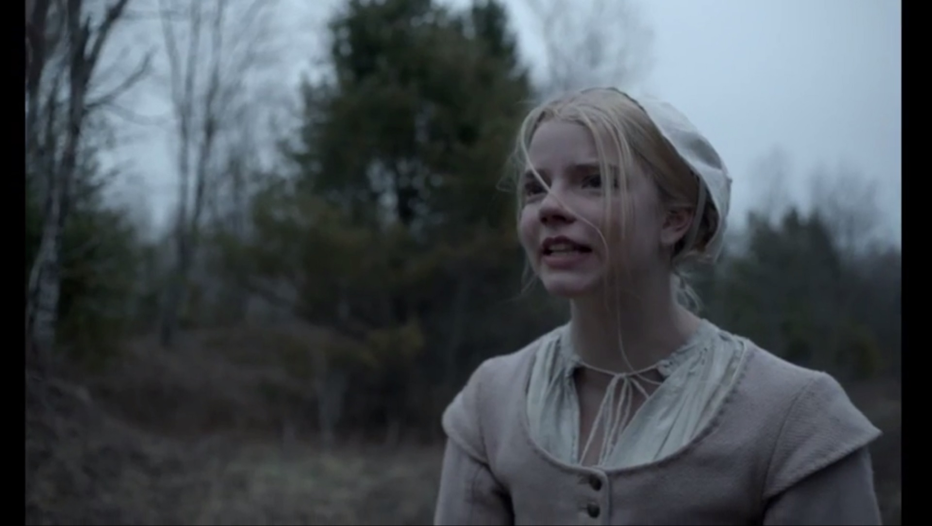 The Witch (2015)