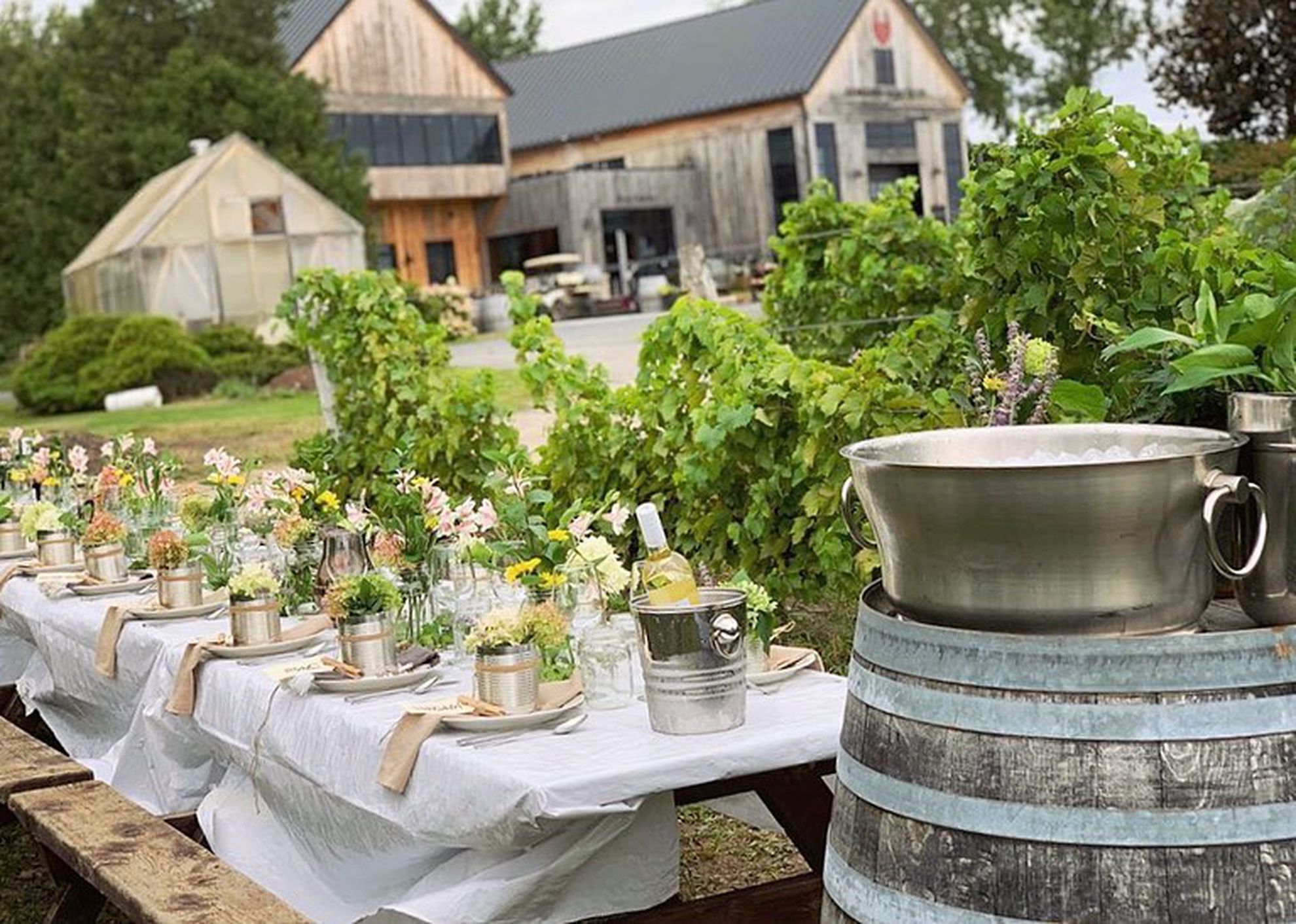 Vignoble Domaine St-Jacques
