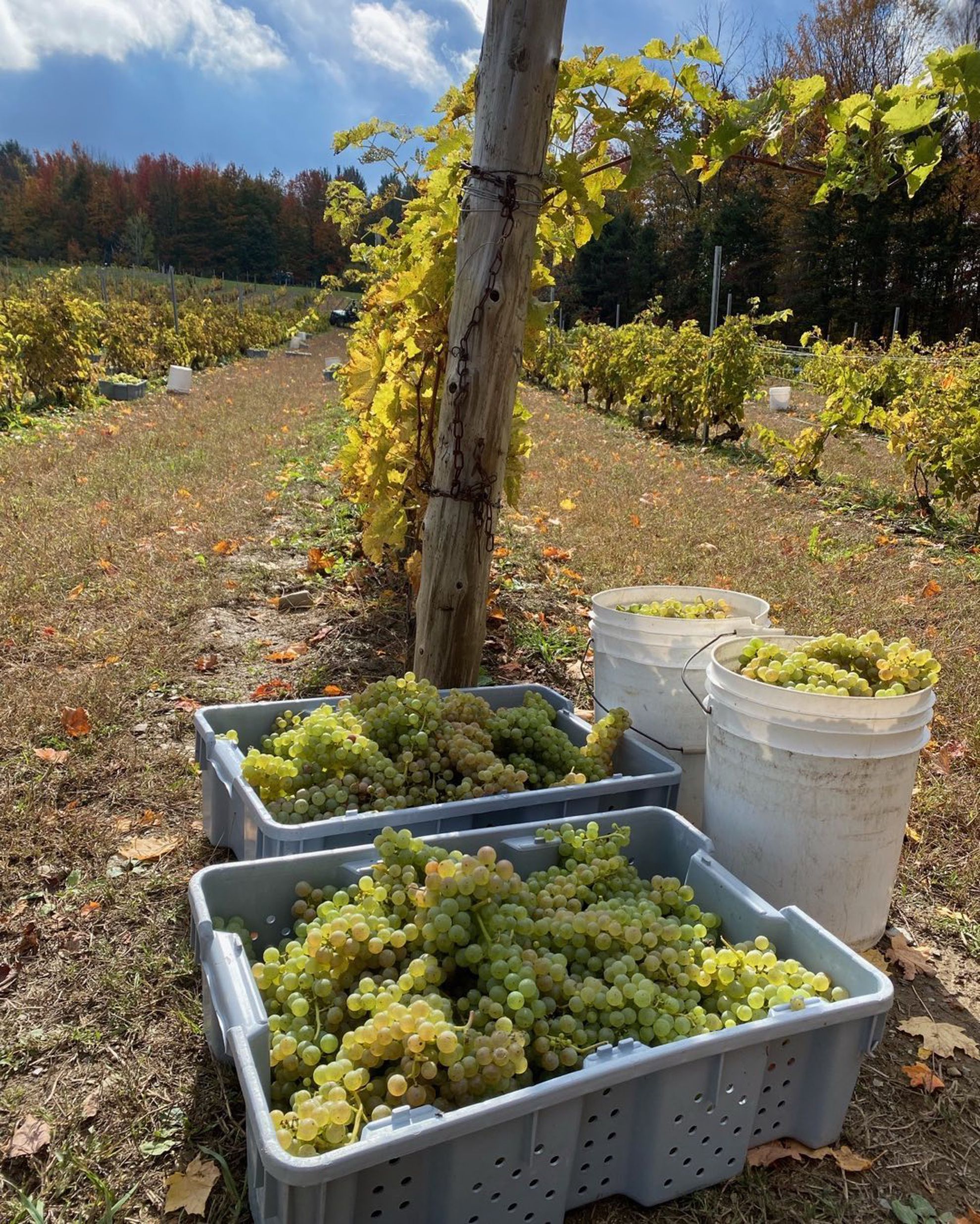 Domaine des Côtes d’Ardoise