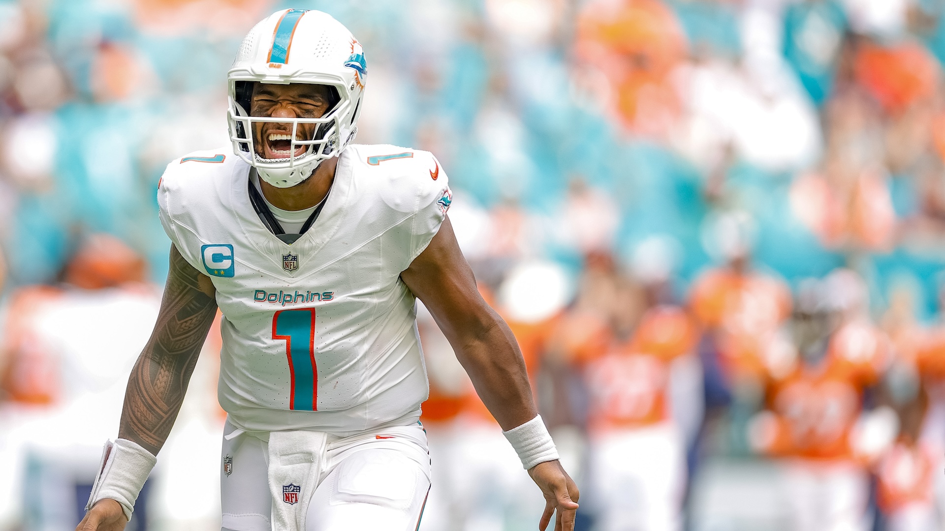 Septembre - Dolphins de Miami