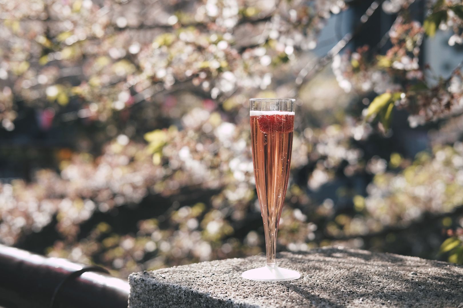 Framboise royale